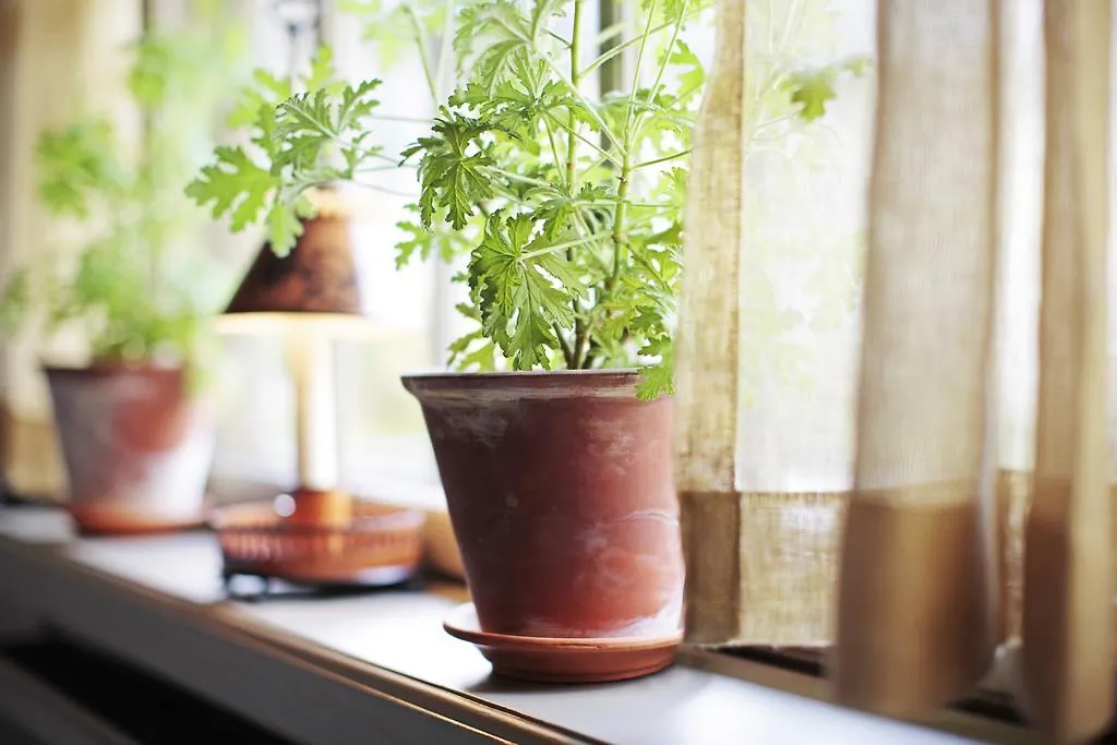 Stallmaestaregarden Hotel, Stockholm, A Member Of Design Hotels 솔나